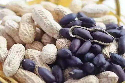 网红黑料吃瓜黑料正能量,一场网络舆论的蜕变之旅 第3张 网红黑料吃瓜黑料正能量,一场网络舆论的蜕变之旅 第3张